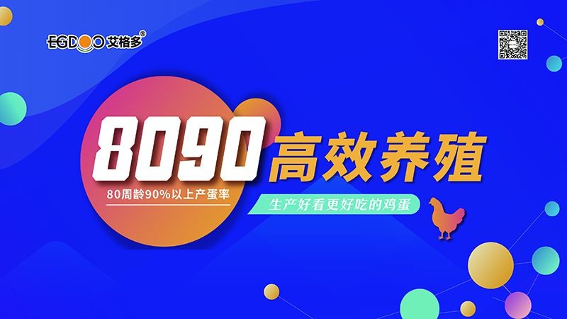 艾格多蛋雞高 效飼養(yǎng)700天線下交流會——杞縣站成功舉辦