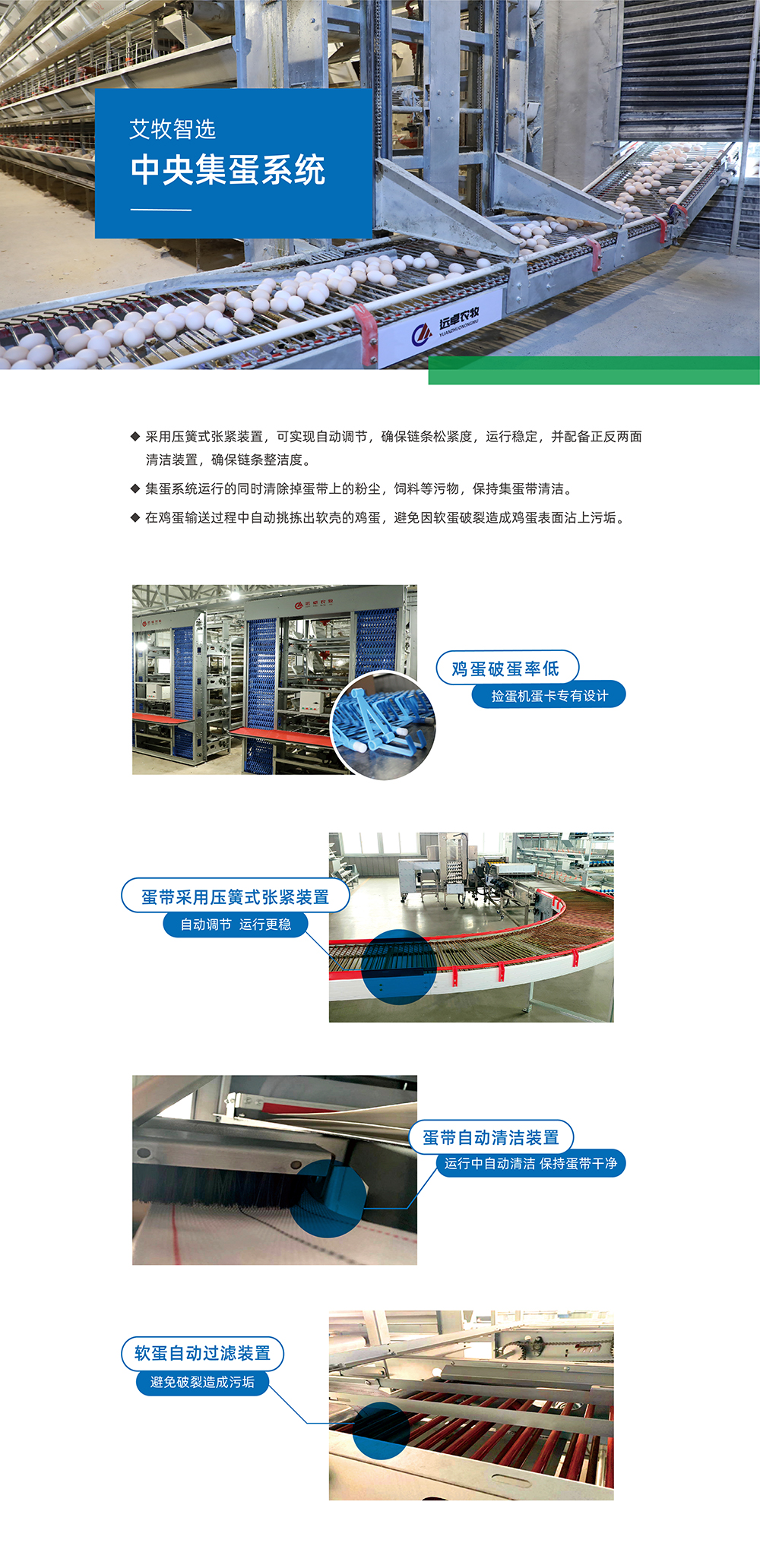 艾牧智選 中央集蛋系統(tǒng) 產(chǎn)品詳情頁(yè)_畫(huà)板 1